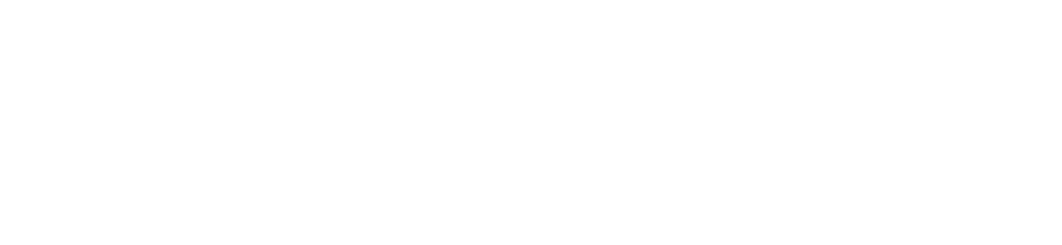 FoxDoo IT Solutions Inc.